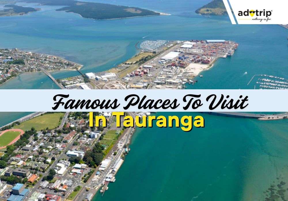 Places To Visit In Tauranga
